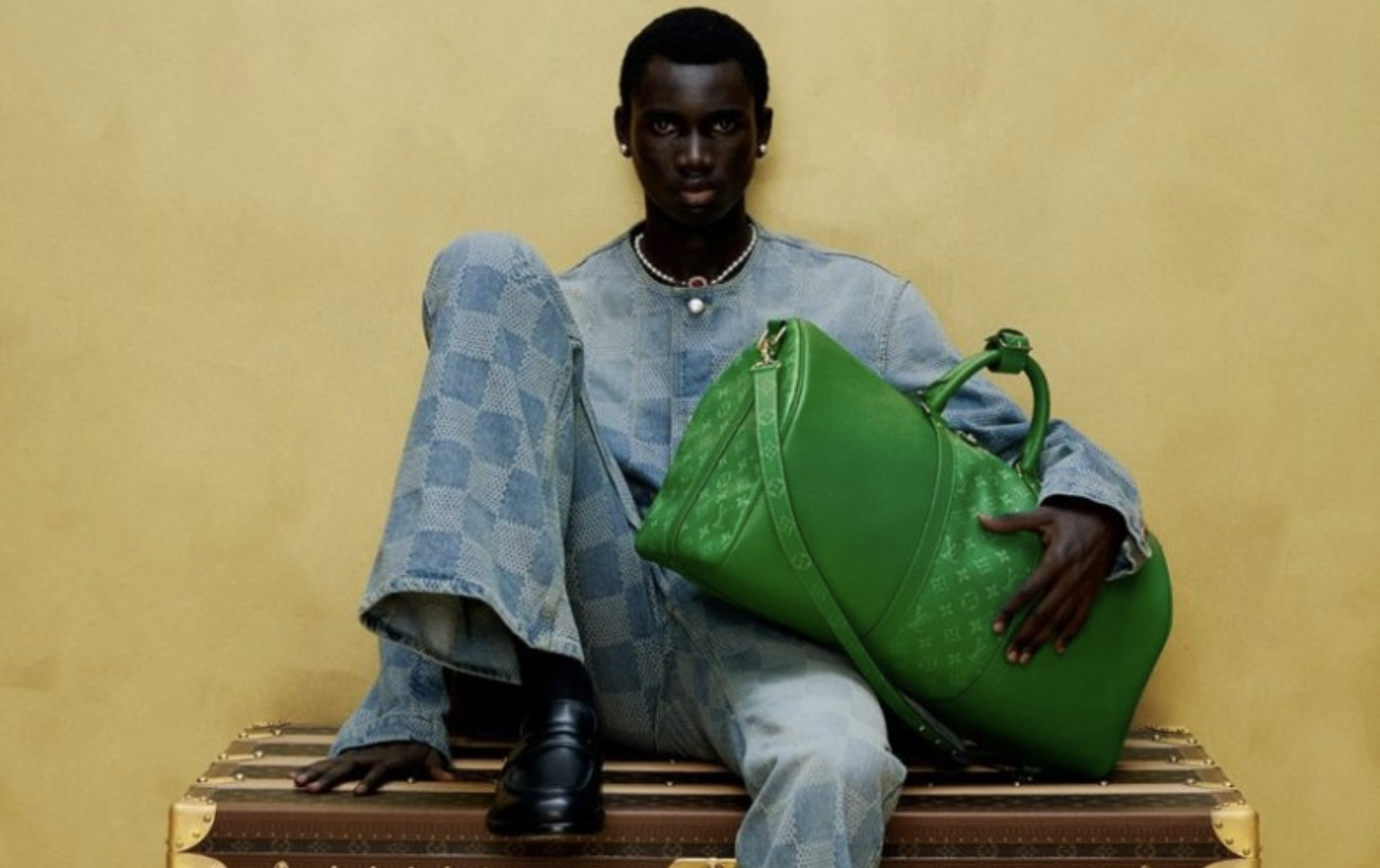Home 3 Luxury bag held by a model.