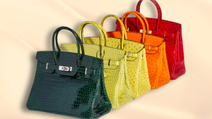 A collection of vibrant HERMÈS Birkin bags arranged in a luxurious showroom setting.