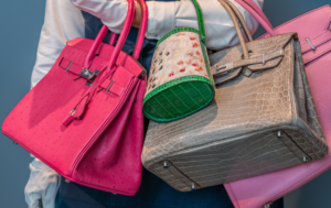 HERMÈS Handbag Collection – Luxury Defined