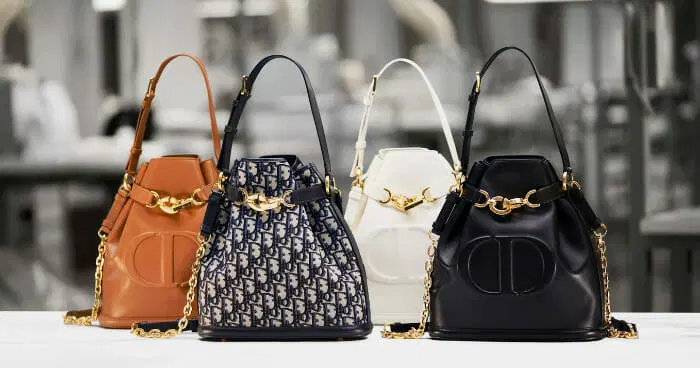 DIOR Small C’est Bag Buying Guide: A Modern Classic for Every Occasion